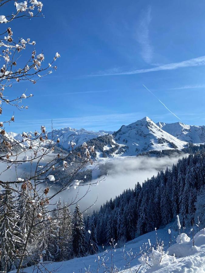 Hotel Rhodos Morzine Авориаз Екстериор снимка